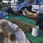 施工前（1）竹穂のしたごしらえ