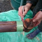 施工中(２)ヒカリツケ