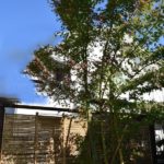 施工後(16)御簾垣