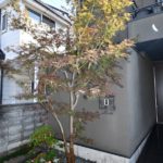 施工後　玄関前植栽