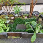 施工後　玄関前植栽