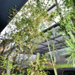 施工後　玄関脇