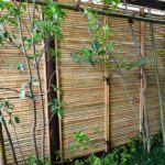 施工後　和室前