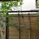 施工後　和室前