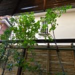 施工後　和室前