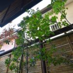 施工後　和室前