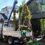 施工中　植栽植込み