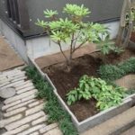 施工中　植栽植込み