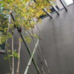 施工後　浴室前の中庭空間