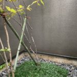 施工後　浴室前の中庭空間