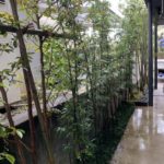 施工後　黒竹ゾーン