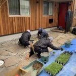 施工中（27）下草、草目地植栽