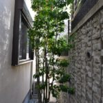 施工後（1）建物裏側の植栽