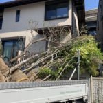 施工中（21）植栽