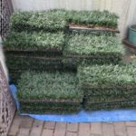 施工中（2）玉竜マット