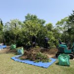 施工中（3）既存木の木の根を丁寧に除去