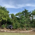 施工中（15）植栽