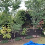 施工中（14）植栽