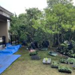 施工中（16）植栽