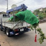 施工中（8）植木 搬入