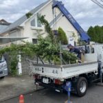 施工中（9）植木 搬入