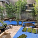 施工中（13）植栽中