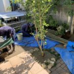 施工中（12）植栽中