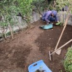 施工中（3）伐根・除草 作業