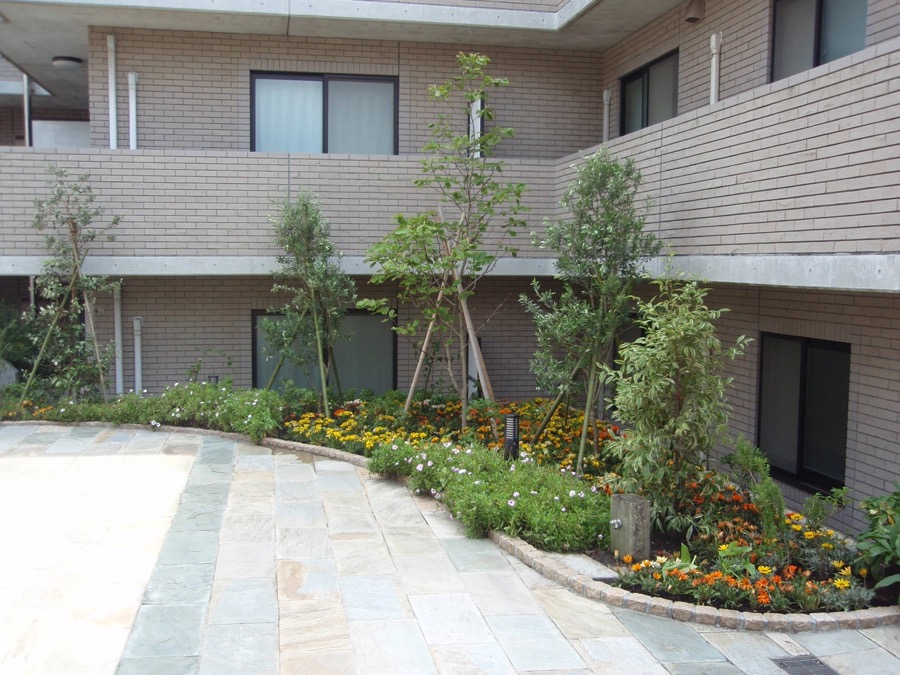 マンション・企業・ホテルの緑地管理の施工例(中庭の植栽)